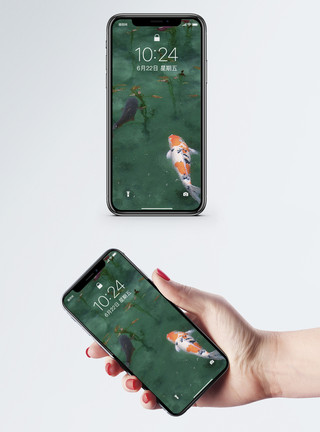观赏鱼水中的锦鲤手机壁纸模板