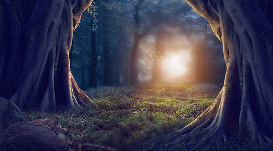 黑暗童话梦幻森林场景设计图片