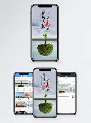欲成大树莫于草争手机海报配图模板