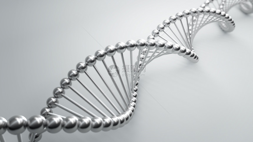 DNA序列链接图片
