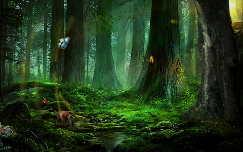 树林场景梦幻森林场景设计图片