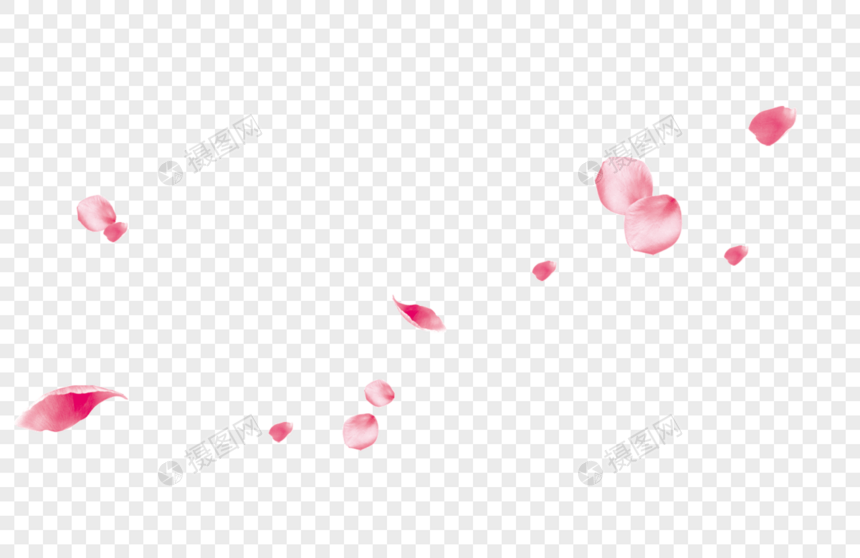 漂浮花瓣图片