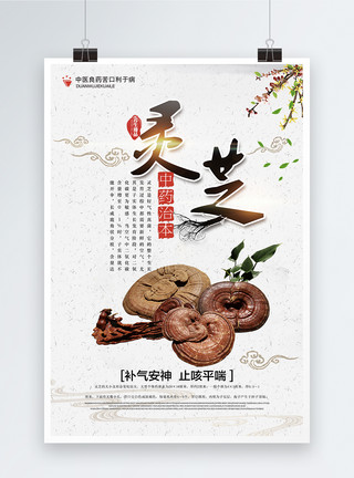 灵芝温柔中国风灵芝药材海报模板