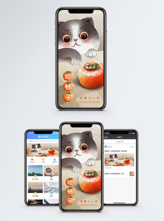 猫到冬天素材柿子手机海报配图模板