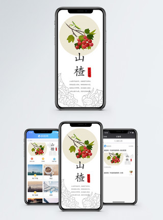 不消化山楂手机海报配图模板