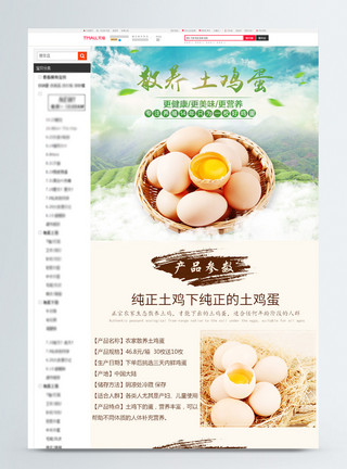 散养老母鸡美味土鸡蛋优惠促销淘宝详情页模板