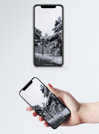 雪松素材高清雪景手机壁纸模板