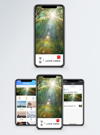 森林阳光早安日签手机海报配图模板