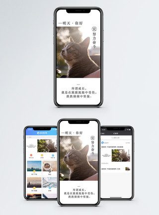 猫正能量素材明天你好手机海报配图模板