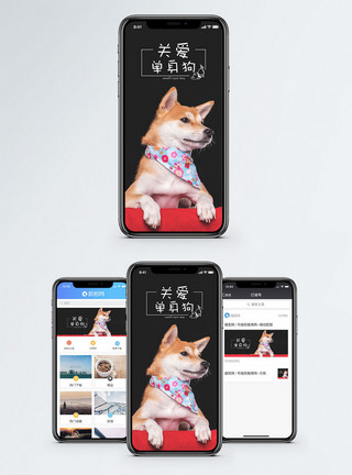 单身联盟三只狗关爱单身狗手机海报配图模板