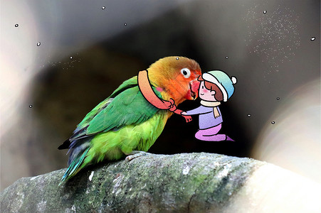 雪景摄影戴围巾的鹦鹉插画