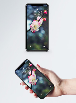 花朵和树枝梅花盛开手机壁纸模板