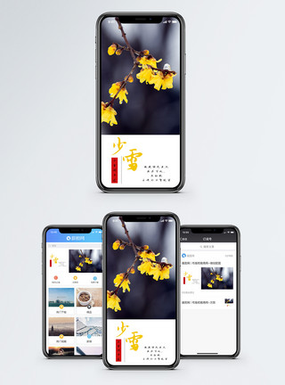 雪花小雪手机海报配图模板