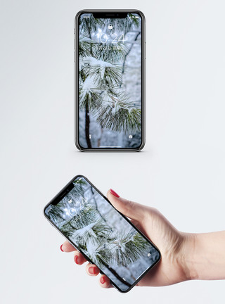 植物霜挂满积雪的松枝手机壁纸模板