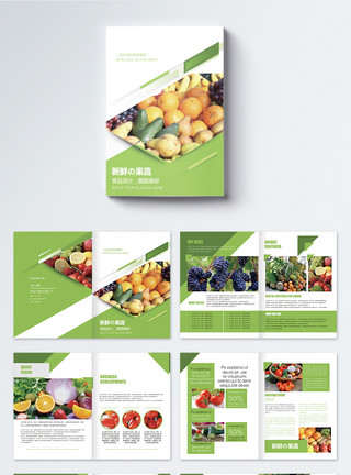 葡萄束食品新鲜果蔬画册整套模板