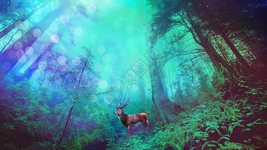 奇幻小鹿梦幻森林设计图片