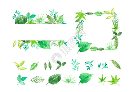 绿植边框装饰水彩叶子边框插画