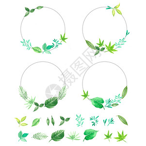 绿植免抠水彩叶子边框插画