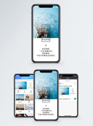 蒲公英植物十一月手机海报配图模板