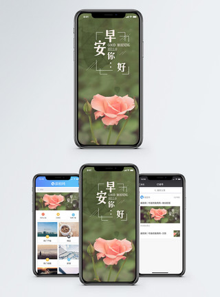 藤本月季早安手机海报配图模板