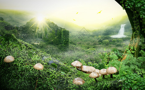 丛林植物密林中的山谷设计图片