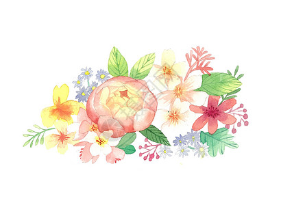 素材免抠边框水彩花卉边框插画