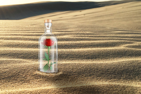 耀眼太阳沙漠中的玫瑰设计图片