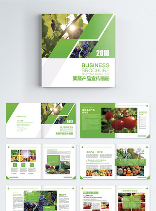 紫皮大蒜绿色新鲜果蔬画册整套模板