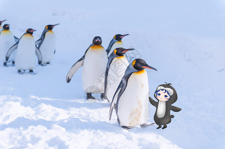 日本人物素材企鹅宝宝插画