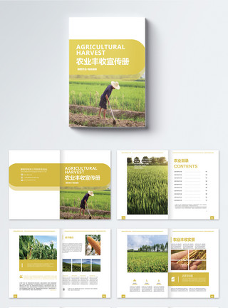 鲜榨玉米农业丰收宣传册整套模板