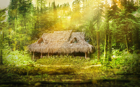 度假的小木屋森林小屋设计图片