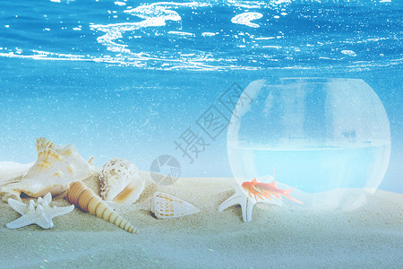 海星鱼超现实主义设计图片