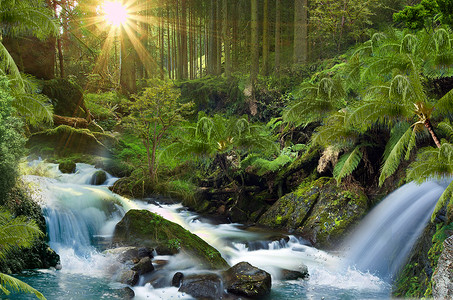 小溪环绕纵横梦幻森林设计图片