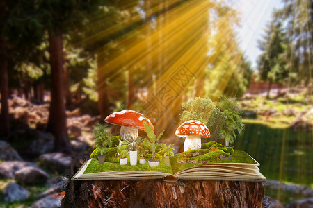 手绘蘑菇房书本上的世界设计图片