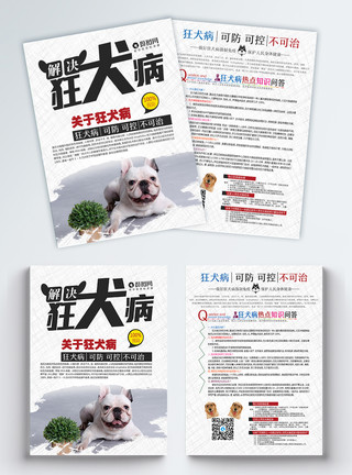 微生物狂犬病预防狂犬病宣传单模板