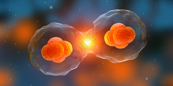 抗癌素材细胞分裂设计图片