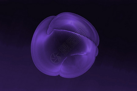 荧光水母科技点状球形设计图片