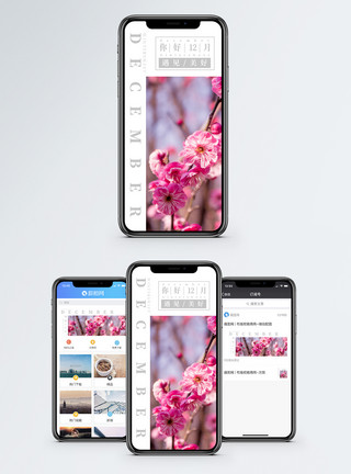 美丽梅花你好12月手机海报配图模板