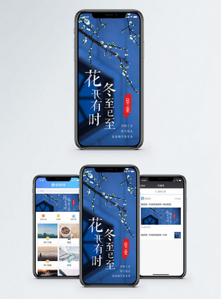 梅花已谢杏花新冬至已至手机配图海报模板