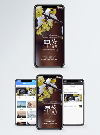 美丽梅花早安12月手机海报配图模板