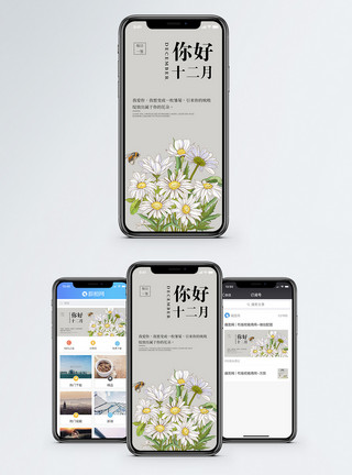 米包装你好十二月手机海报配图模板
