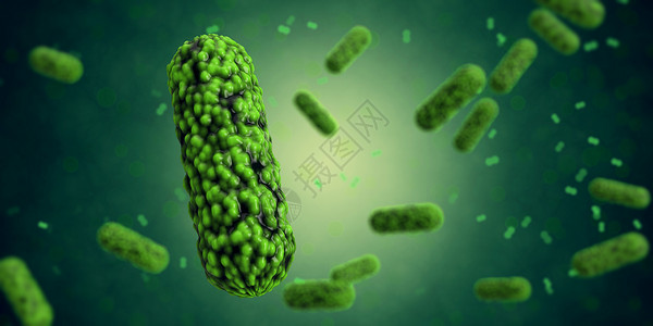 绿色蔬菜菜心细菌病毒场景设计图片
