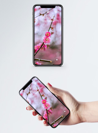 花朵和树枝梅花手机壁纸模板