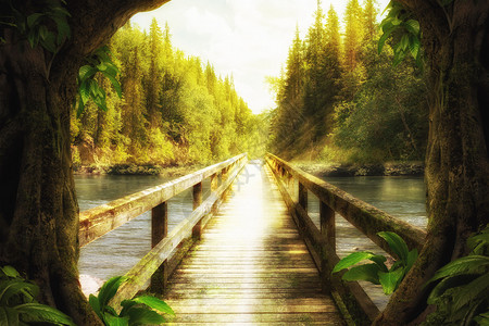 树桥奇幻唯美森林设计图片