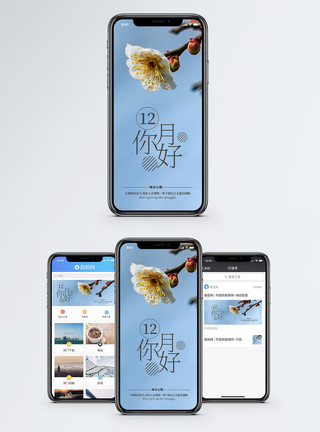 红墙梅花12月你好手机海报配图模板