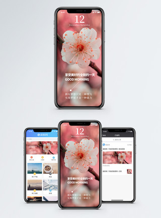 美丽梅花心情日签手机海报配图模板