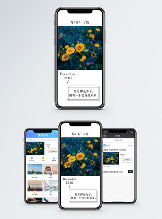 小野花心情日签手机海报配图模板
