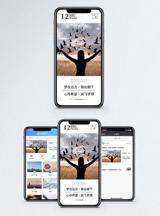 鸽子汤料放飞梦想手机海报配图模板