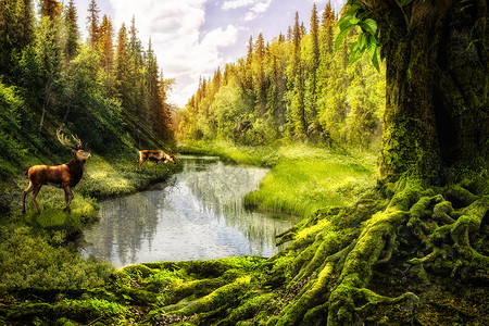 河边素材梦幻森林设计图片