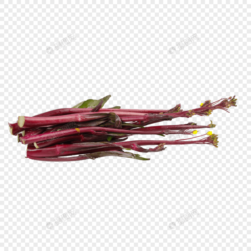 紫菜苔图片